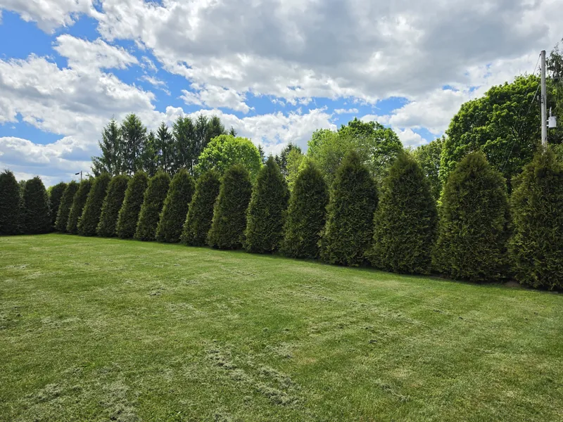 Lawn Care